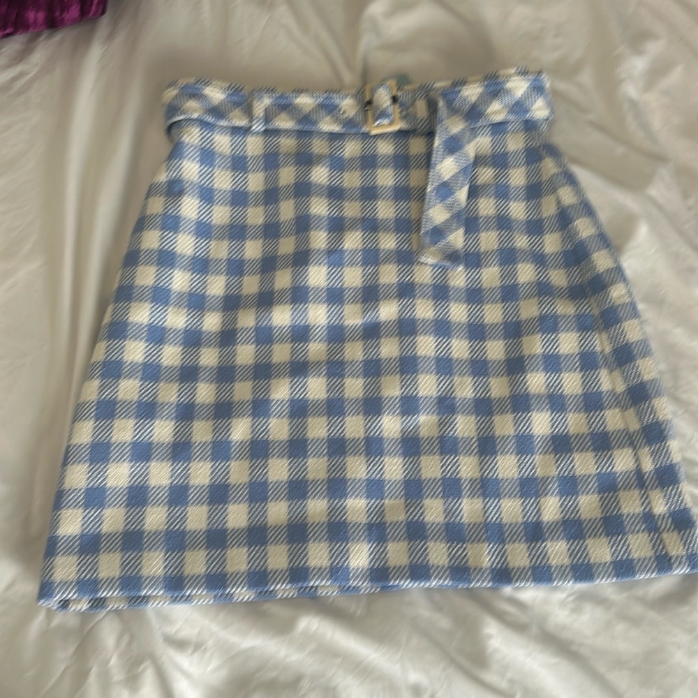 NWT Anne Taylor Skirt